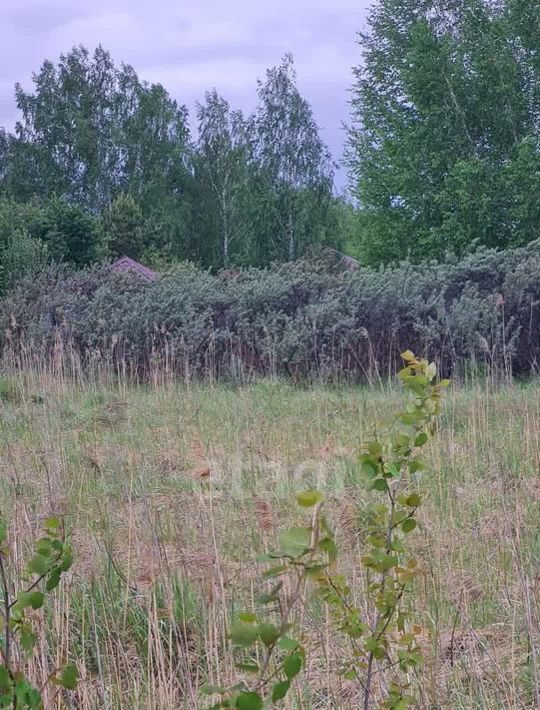 земля г Тюмень р-н Центральный снт Поле чудес ул Западная фото 10