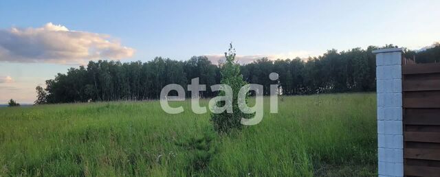 Шуваевский сельсовет, территория Попова, Красноярск фото