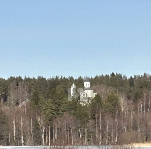 земля п Краснофлотское Приморское городское поселение фото