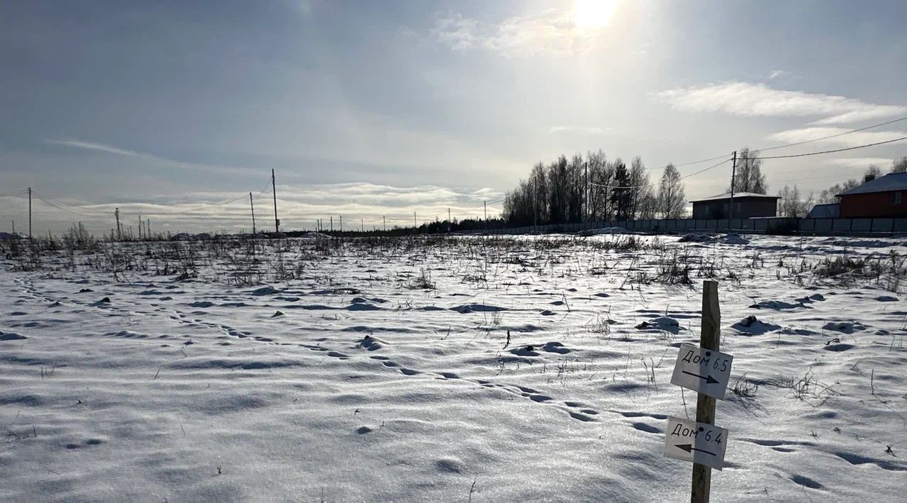 земля городской округ Пушкинский д Талицы фото 1