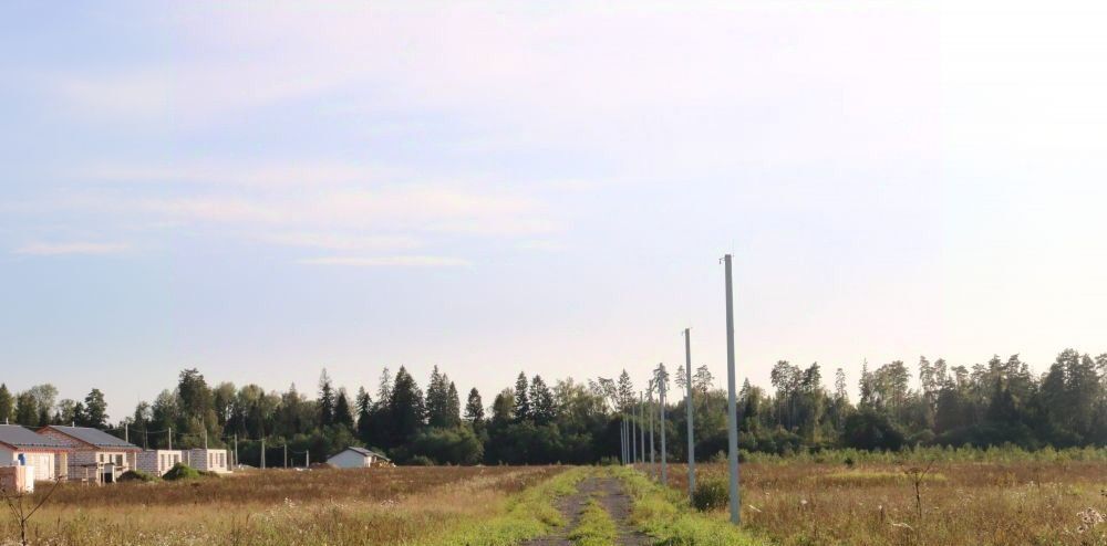 земля городской округ Истра д Подпорино ул Железнодорожная Снегири, городской округ Истра, 46 фото 1