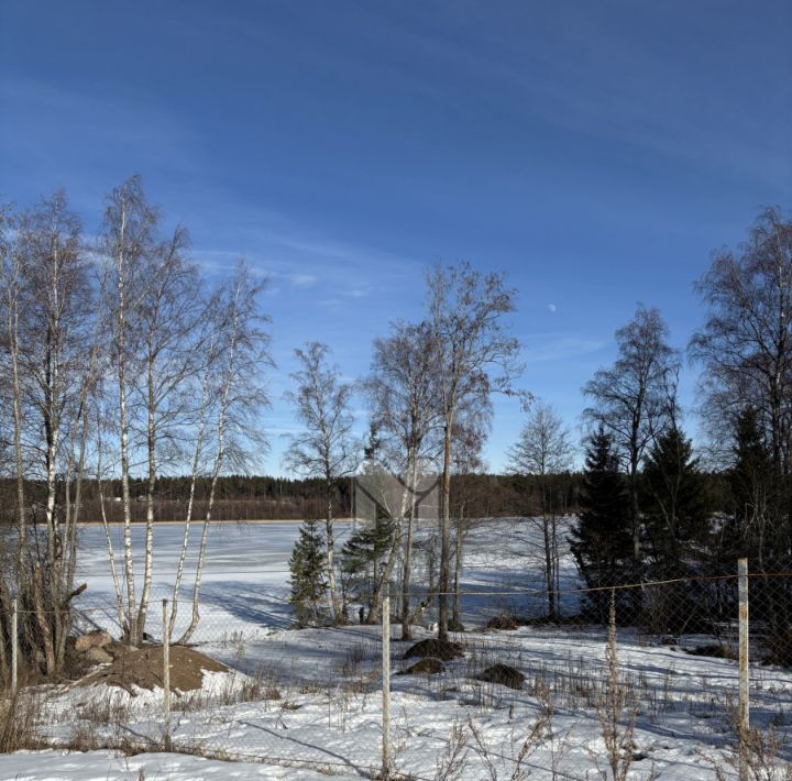 земля р-н Выборгский п Краснофлотское Приморское городское поселение фото 7