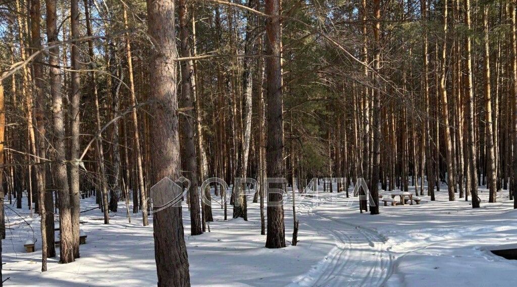 земля городской округ Одинцовский г Звенигород ГП-3, 100 фото 5