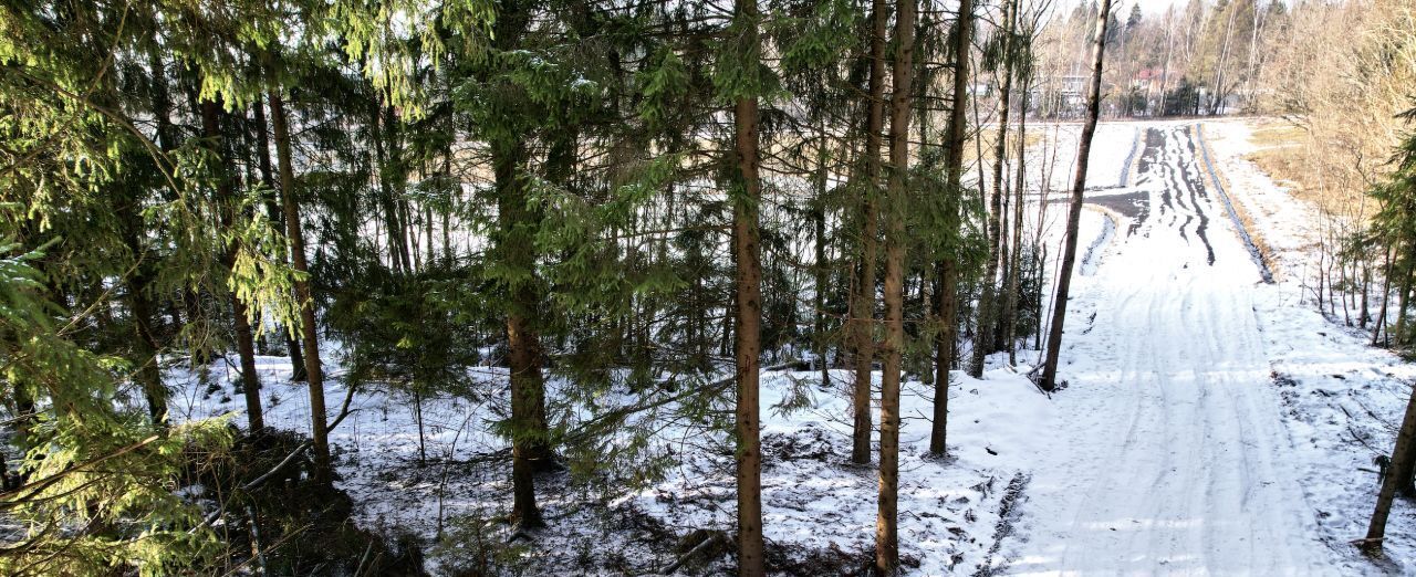 земля городской округ Пушкинский д Талицы фото 6