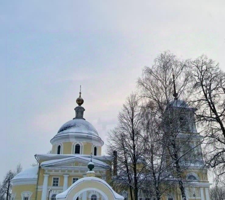 дом городской округ Богородский Воскресенские Усадьбы кп, 97 фото 14