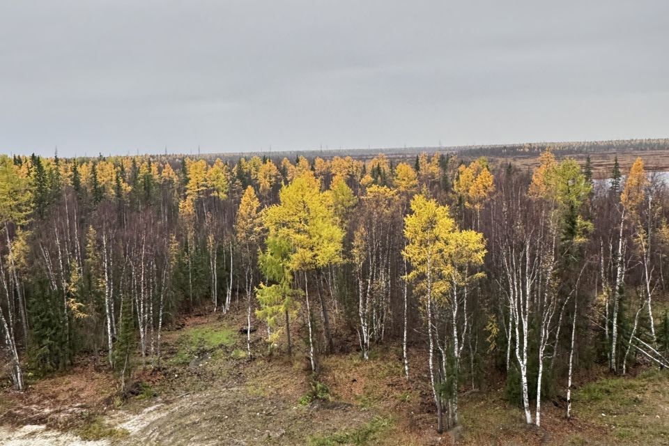 квартира г Ноябрьск ул Транспортная 16а Ноябрьск городской округ фото 10