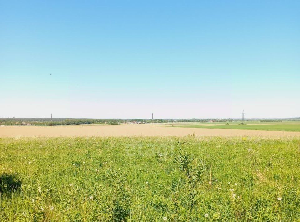 земля р-н Тарусский с Волковское ул Молодежная фото 6