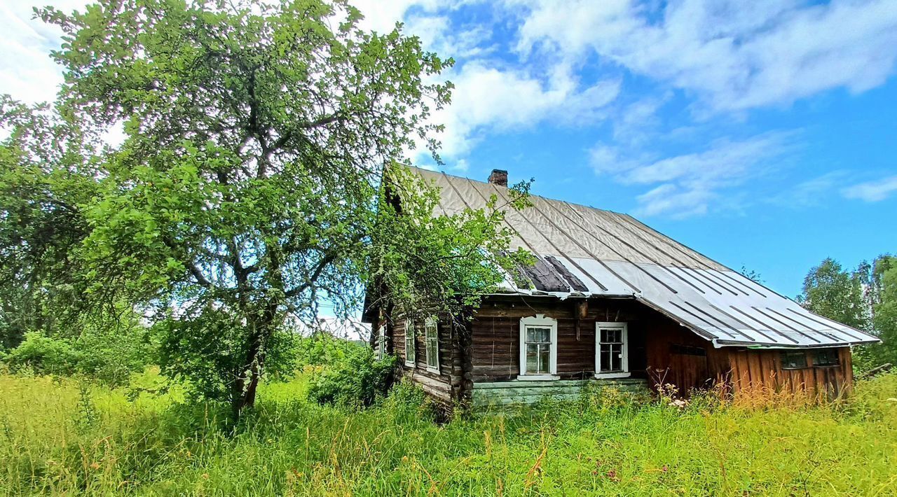 дом р-н Плюсский д Утичье ул Старое Утичье 27 фото 7