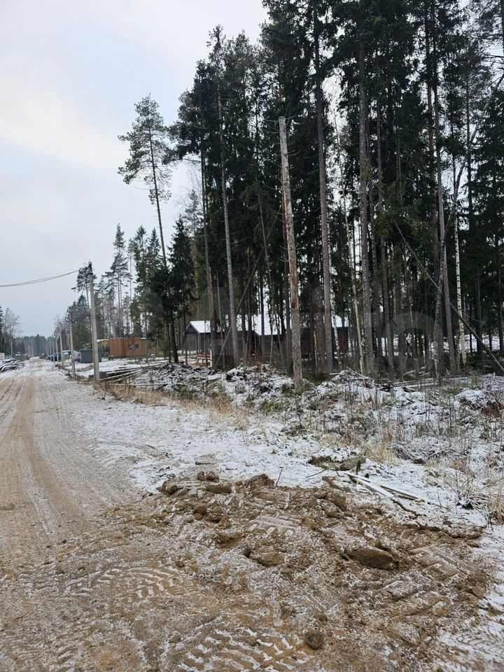 земля р-н Всеволожский г Сертолово днп Слобода Сертоловское городское поселение, 22-я линия, Заречное фото 6