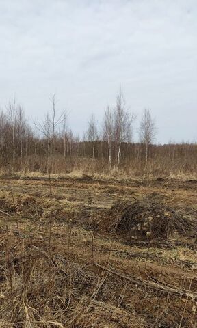 с Сальково ТиНАО 13 км, Московская область, городской округ Богородский, Воскресенское, направление Курское (юг), Калужское шоссе фото