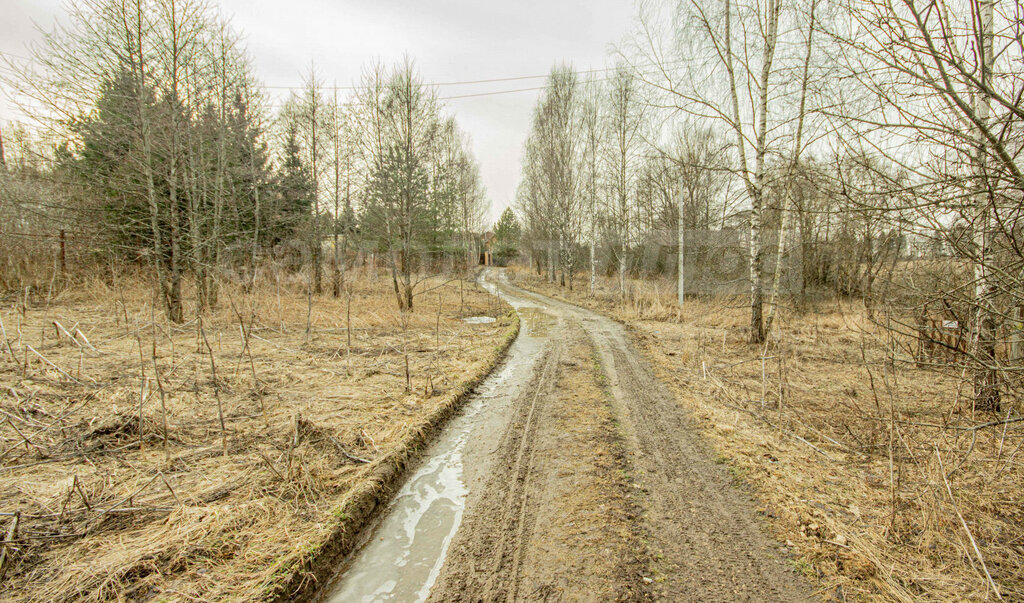 земля городской округ Наро-Фоминский д Зинаевка фото 5