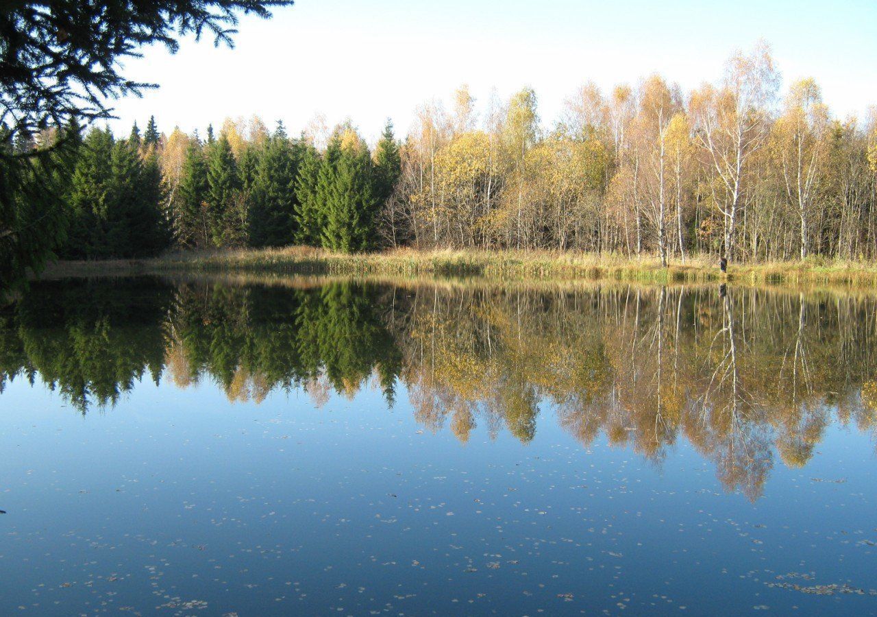 дом направление Савеловское (север) ш Рогачевское 58 км, 46К-0400, Рогачево фото 30