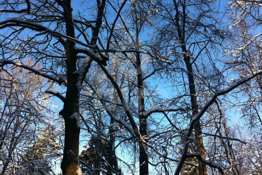 земля городской округ Одинцовский г Звенигород местечко Благодать фото 3