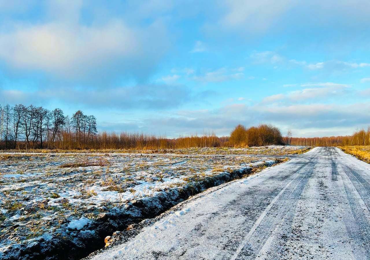 земля городской округ Раменский д Васильево 25 км, Володарского, Новорязанское шоссе фото 5