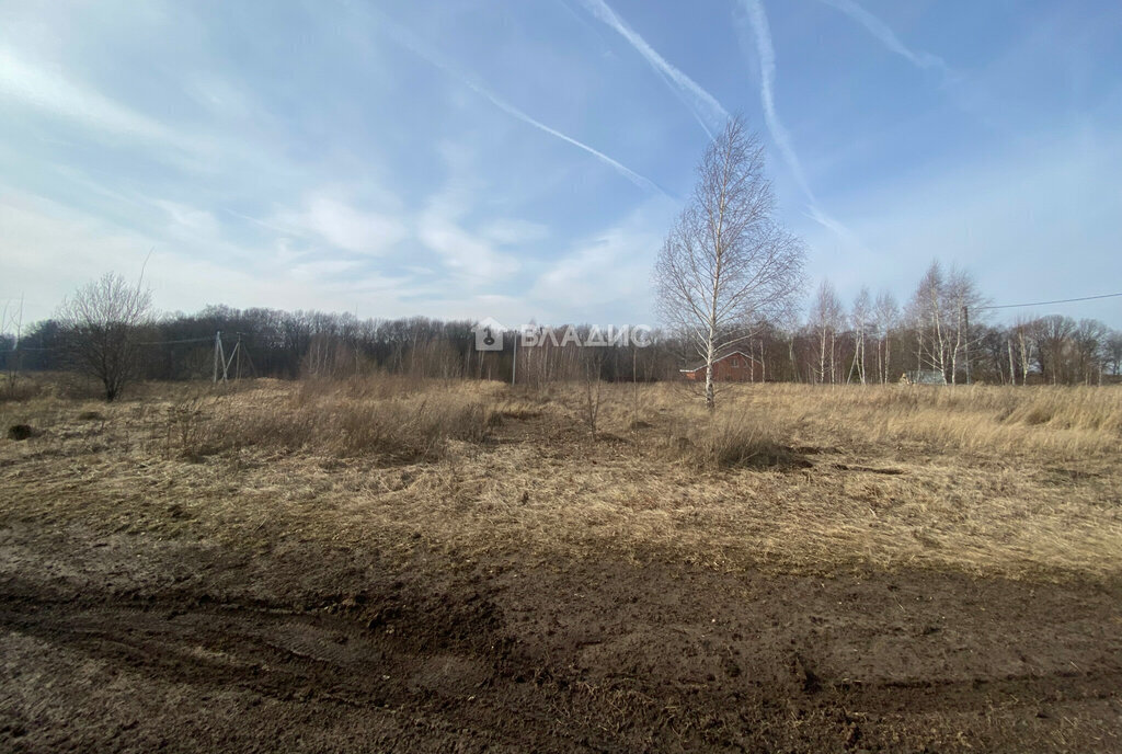 земля городской округ Зарайск д Новоселки фото 2