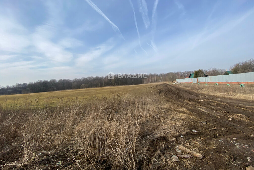 земля городской округ Зарайск д Новоселки фото 7