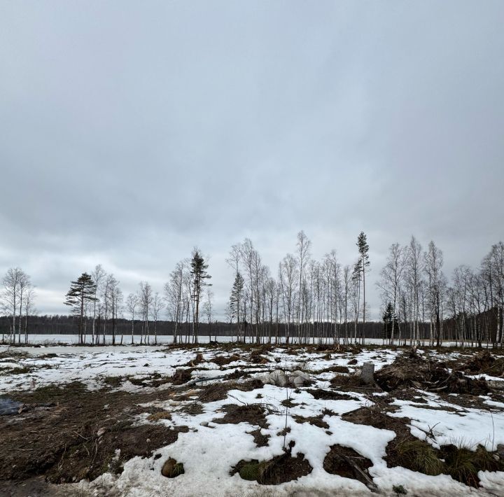 земля р-н Всеволожский п Токсово ул Туристов 10 Токсовское городское поселение фото 1