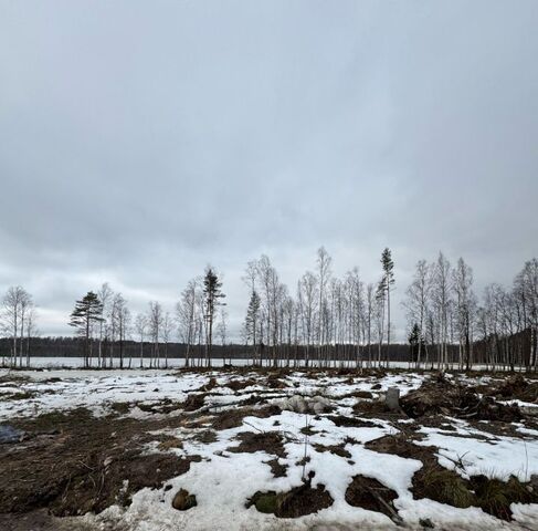 земля п Токсово ул Туристов 10 Токсовское городское поселение фото