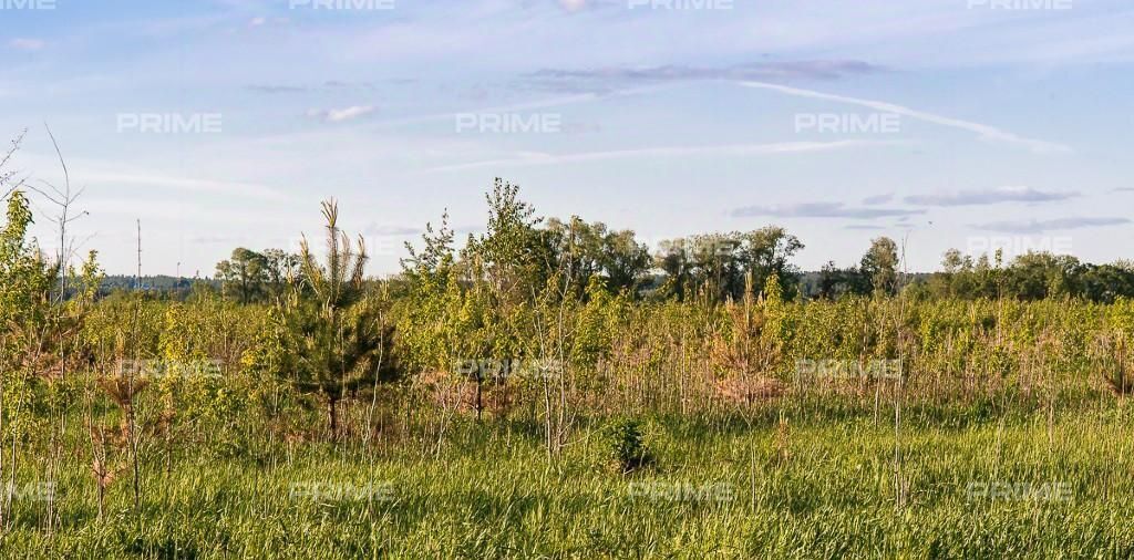 земля городской округ Истра д Аносино Нахабино фото 1