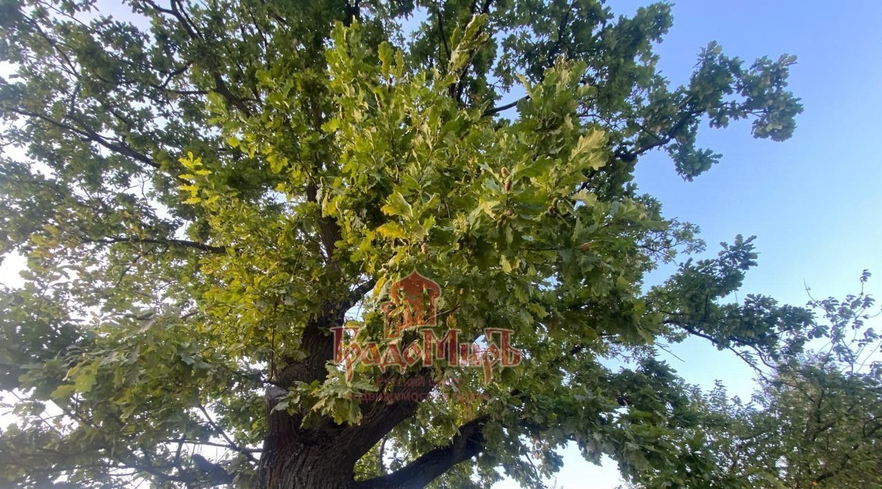 дом городской округ Мытищи д Болтино ул Центральная 6 Медведково фото 49