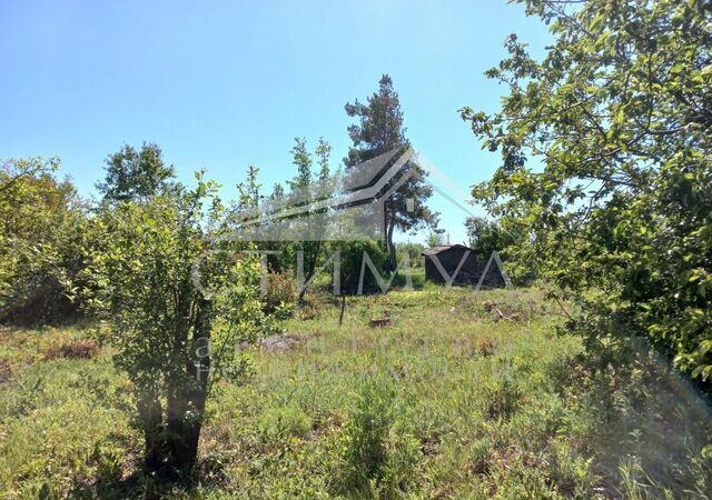 р-н Ленинский снт Труженик фото