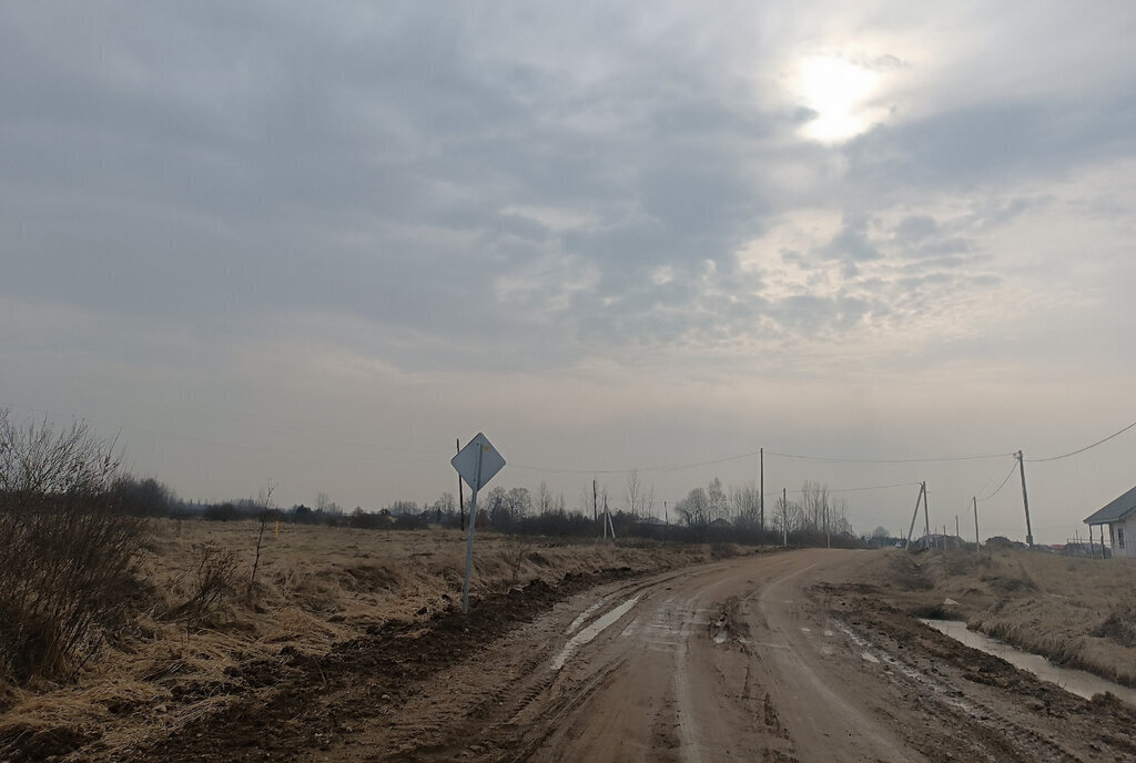 земля р-н Новгородский д Старое Куравичино Борковское сельское поселение фото 3