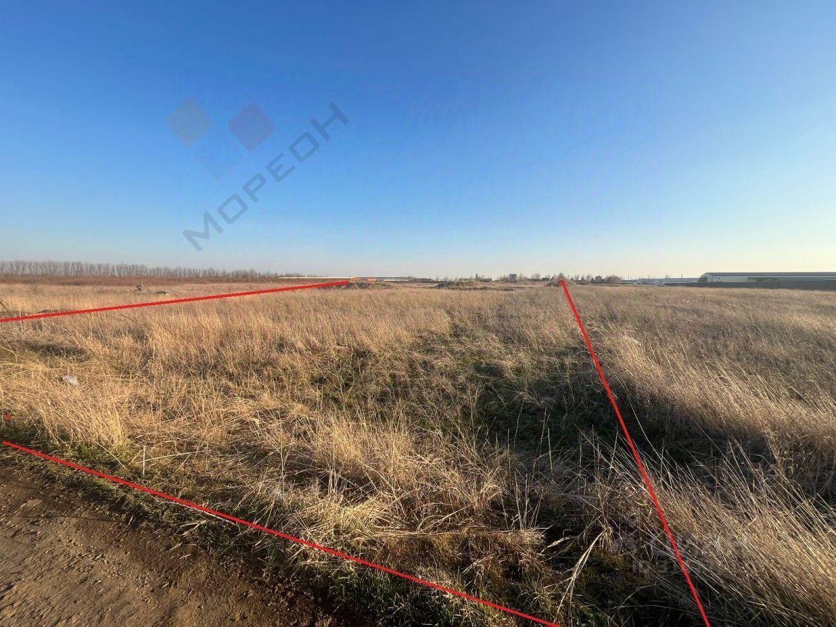 земля г Краснодар п Дружелюбный р-н Прикубанский Дружелюбная улица фото 2