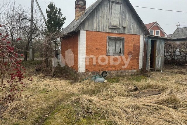 земля р-н Ленинградский фото