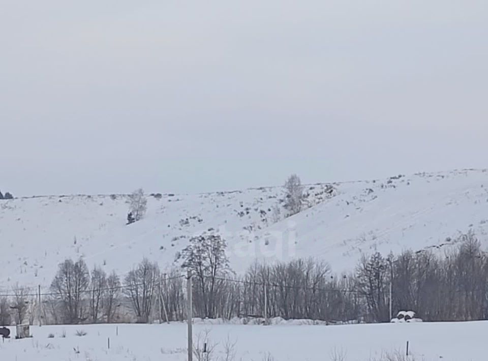 земля р-н Тукаевский д Малая Шильна ул Татарстан фото 4