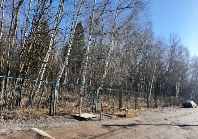 городской округ Подольск 9752 км, СНТ Аина, 91, Симферопольское шоссе фото