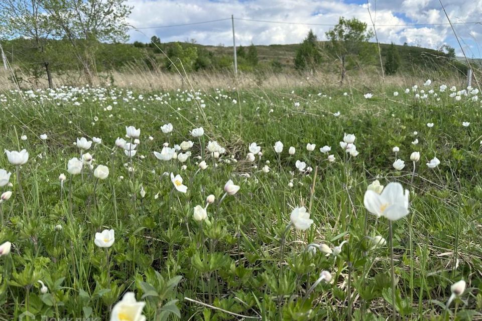 земля г Саяногорск ул Тенистая городской округ Саяногорск фото 1