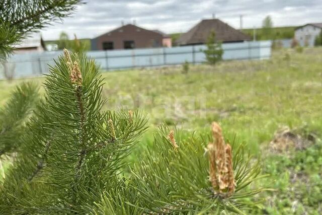 Екатеринбург, ДНТ Зелёные Просторы, муниципальное образование фото