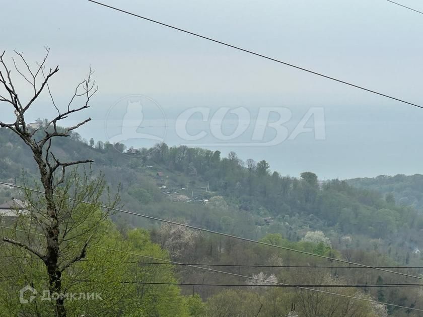 земля городской округ Сочи, село Верхнениколаевское фото 3