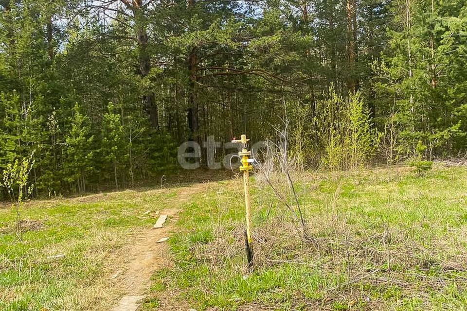 земля р-н Белоярский Белоярский городской округ фото 2