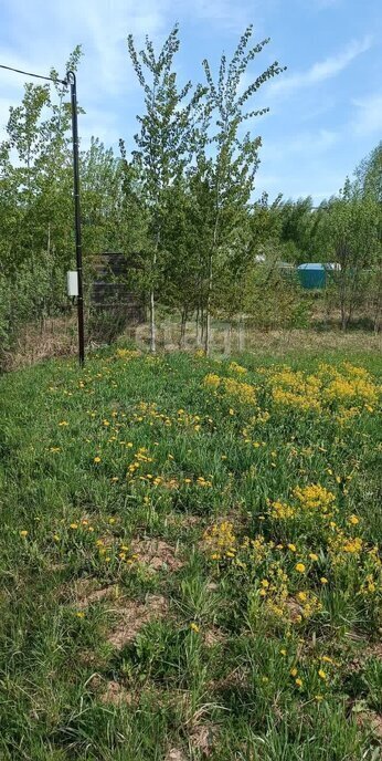 земля городской округ Чехов д Алексеевка территория Чехов-7 фото 7