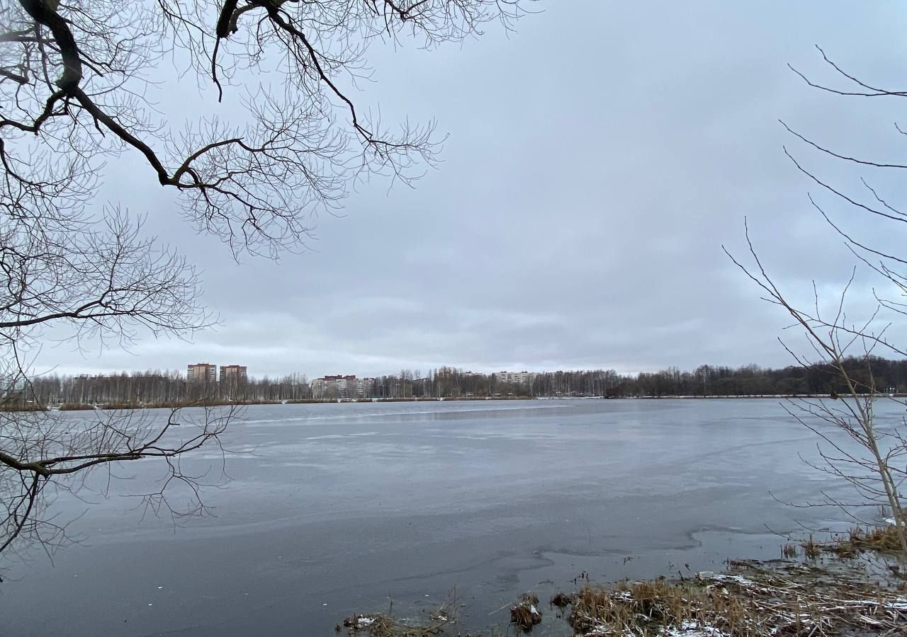 земля р-н Тосненский Московское шоссе, 14 км, Тельмановское городское поселение, участок Мокколово, Санкт-Петербург, Колпино фото 8