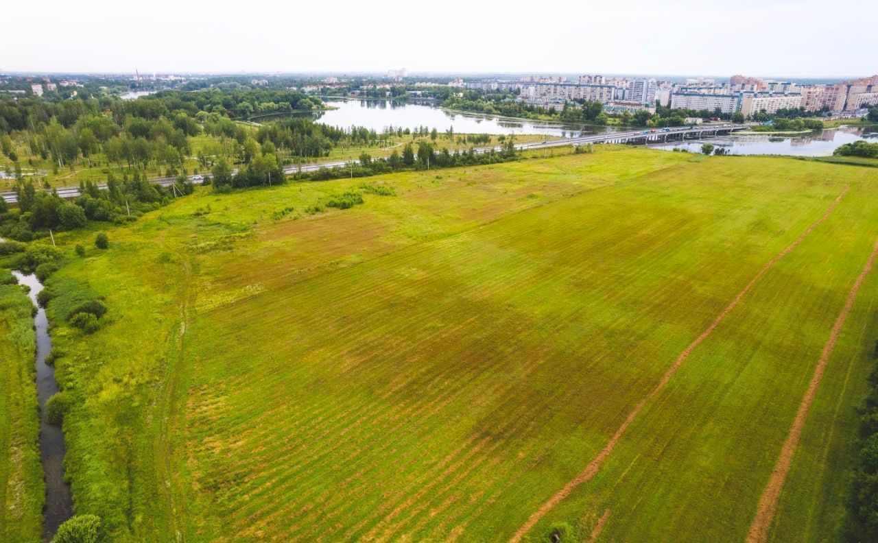 земля р-н Тосненский Московское шоссе, 14 км, Тельмановское городское поселение, участок Мокколово, Санкт-Петербург, Колпино фото 5