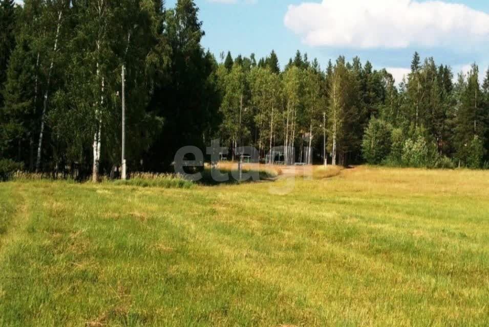 земля г Екатеринбург Екатеринбург городской округ, Чкаловский фото 5