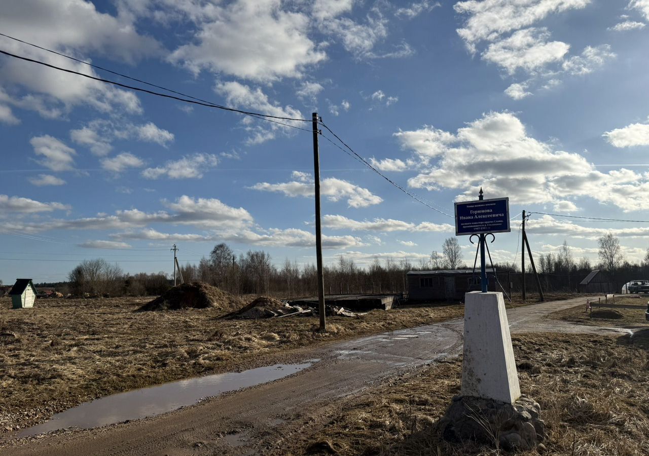 земля р-н Зубцовский д Брычево ул Горюнова Зубцов фото 1