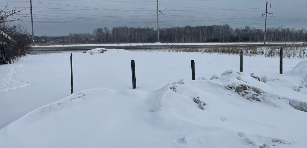 земля Заводоуковск, СНТ Раздолье фото 4