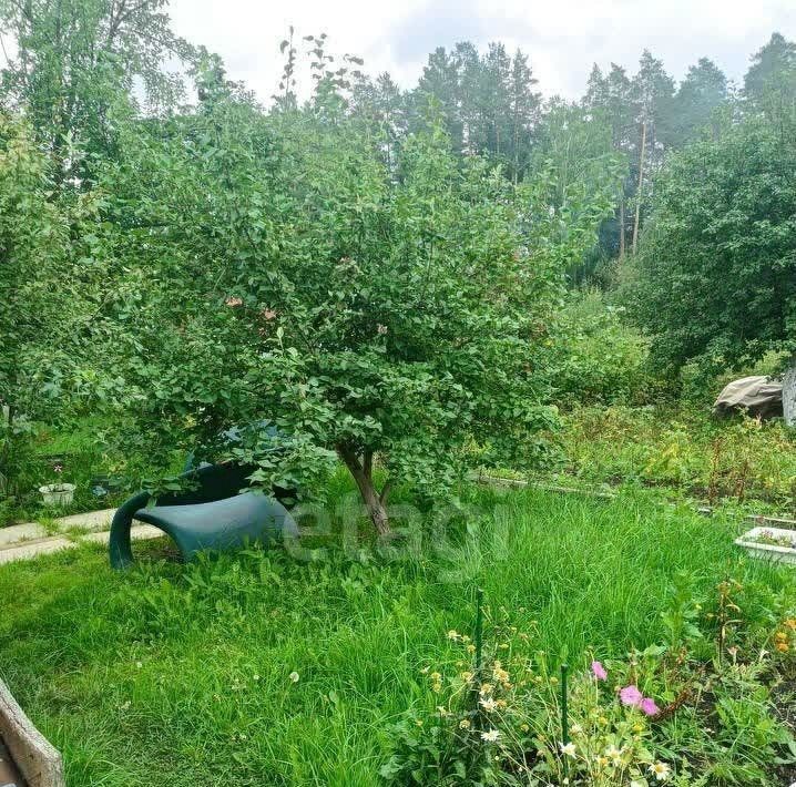 дом г Екатеринбург р-н Чкаловский снт Приисковый-9 211 фото 7