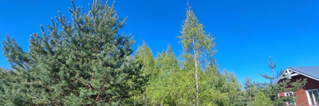 земля р-н Ясногорский с Кузьмищево днп тер.Алино Иваньковское с/пос, 169 фото 1