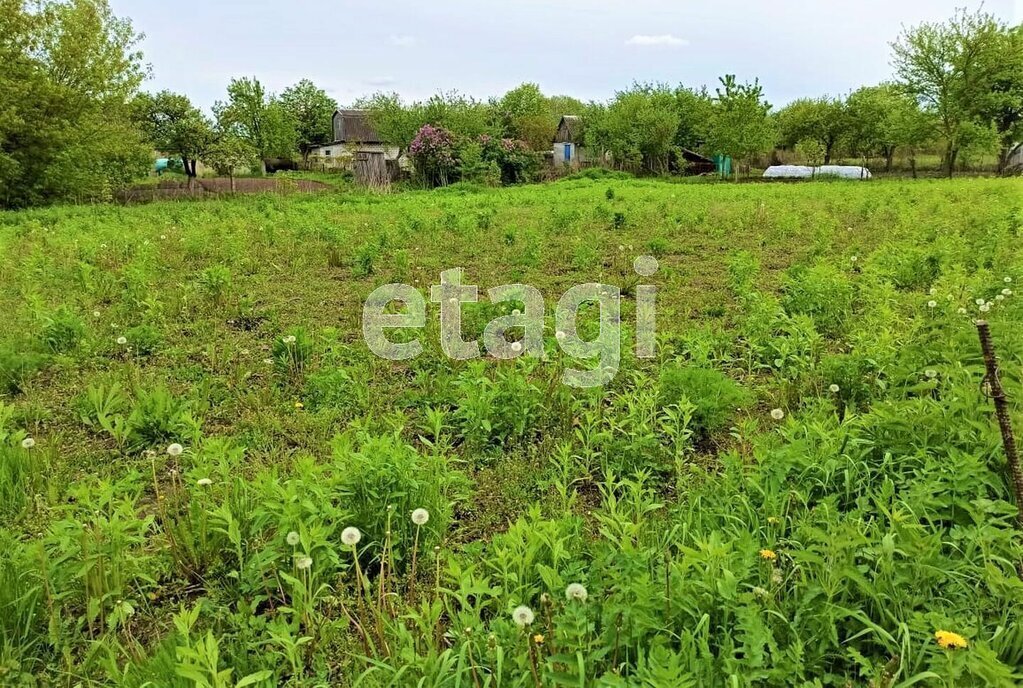 земля р-н Брянский с Толмачево СДТ Здоровье фото 7