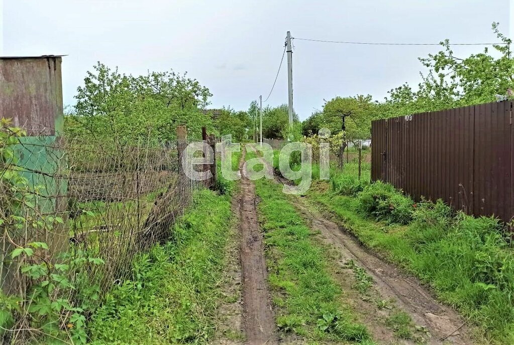 земля р-н Брянский с Толмачево СДТ Здоровье фото 10