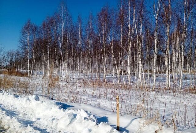 земля тракт Салаирский 14й километр, Тюменский р-н фото