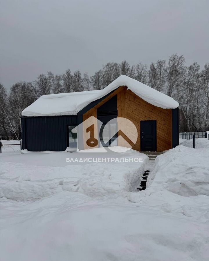 дом р-н Новосибирский Станционный сельсовет, коттеджный пос. Аляска, ул. Михаила Гвоздева, 11, Сокур фото 1