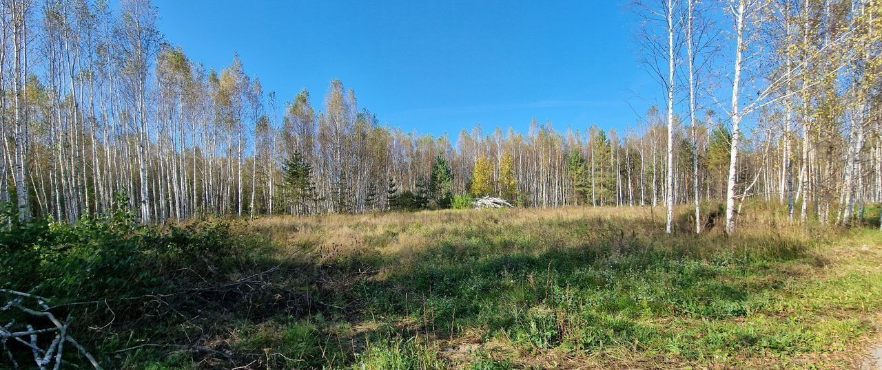 земля г Арзамас сельский пос. Поляна, Полевая ул., 3 фото 1