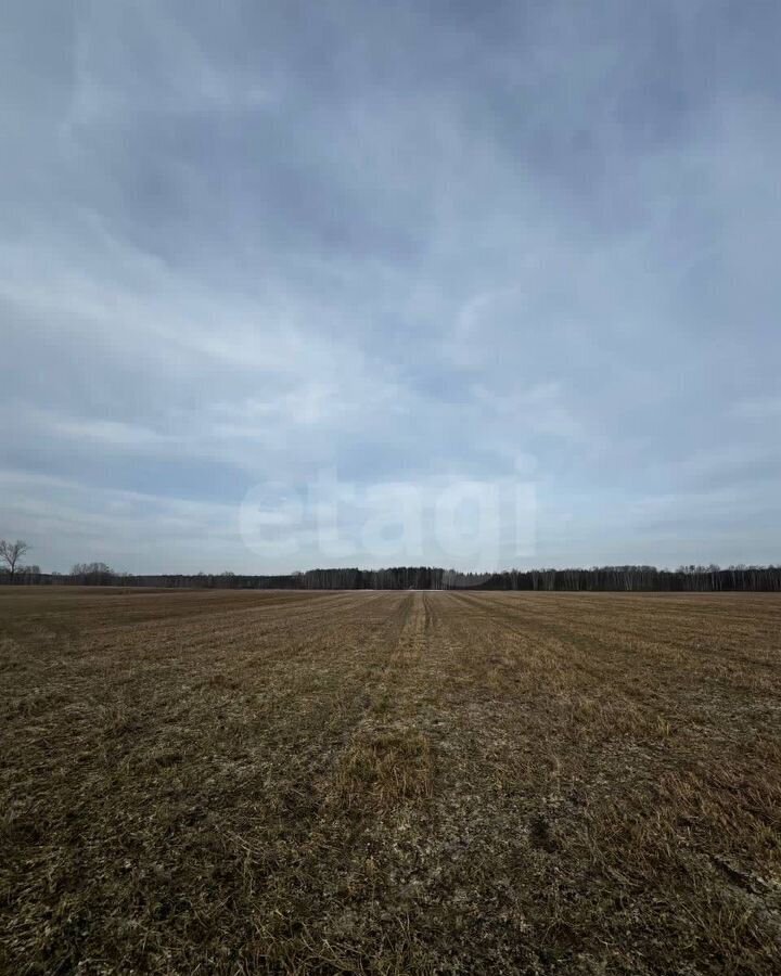 земля р-н Богородский с Убежицы Богородск фото 1