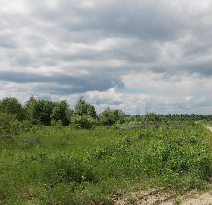 земля р-н Богородский с Афанасьево Богородск фото 1