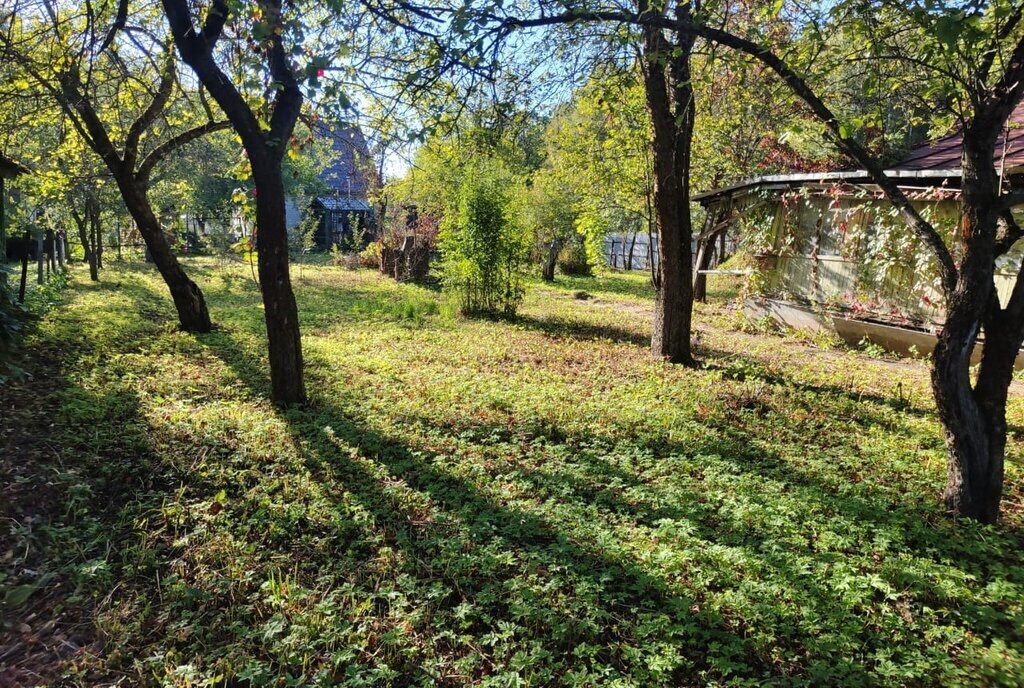 земля городской округ Богородский г Ногинск снт Золотая осень 17 фото 1